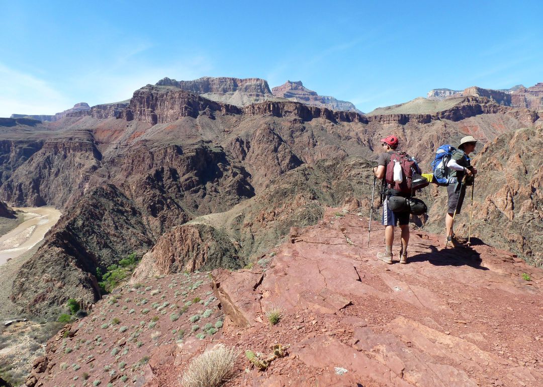 Grand Canyon one star review, DVD instead